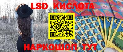 СК Пугачёв