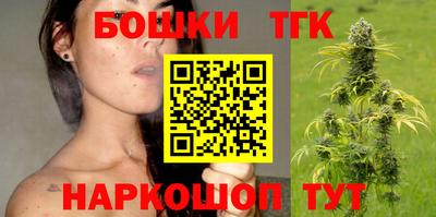 СК Пугачёв