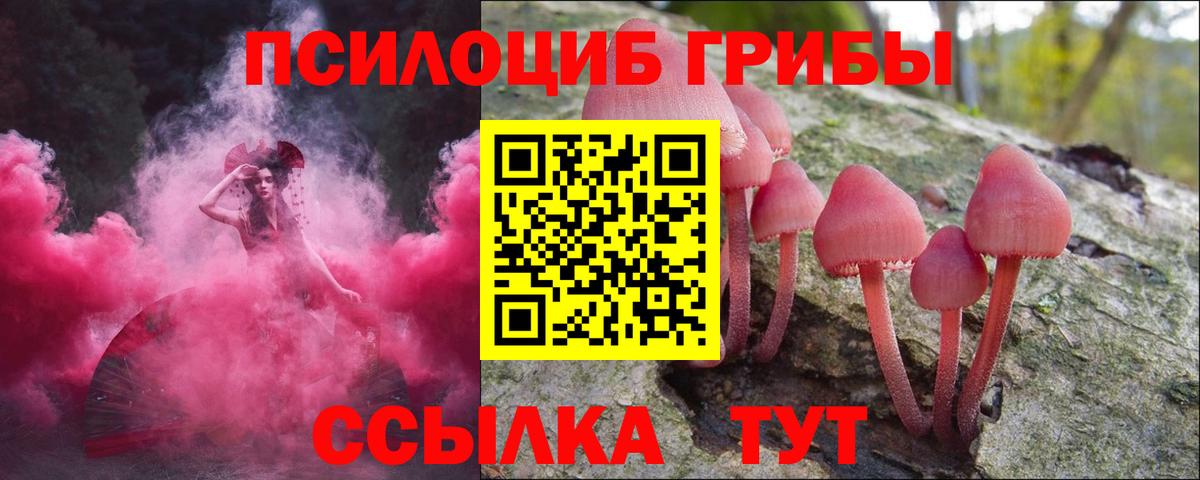 Псилоцибиновые грибы мухоморы  Галлюциногенные грибы Cubensis  Вход с VPN  Сыктывкар 